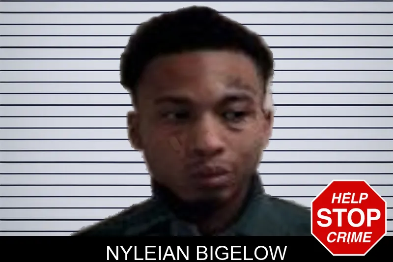 Nyleian Bigelow mugshot
