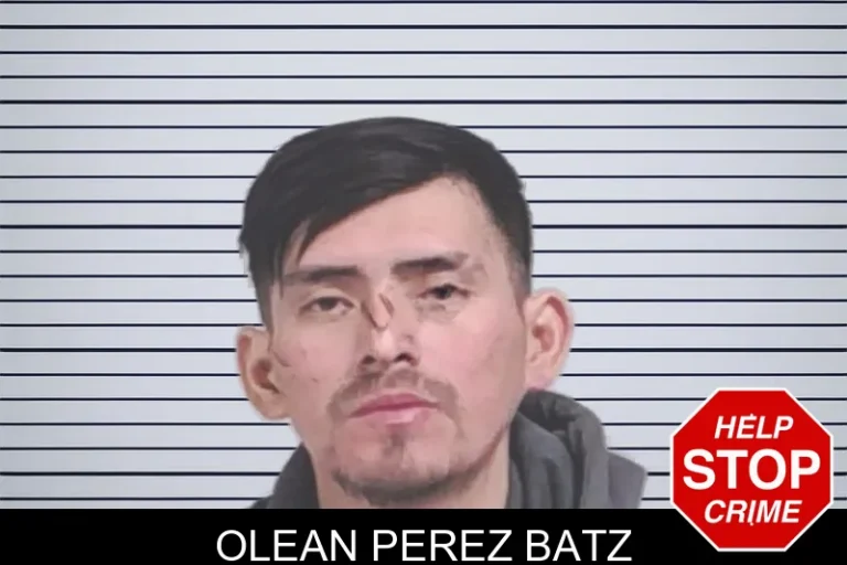 Olean Perez Batz mugshot – Lowndes County , Georgia Olean Perez Batz