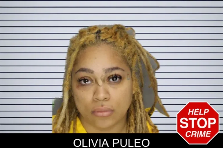 Olivia Puleo mugshot – Cobb County , Georgia Olivia Puleo