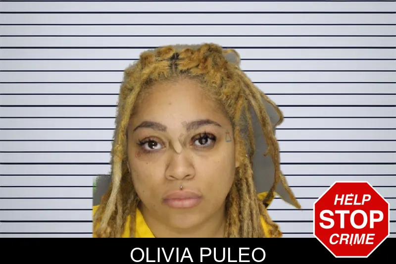 Olivia Puleo mugshot