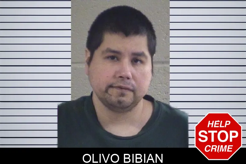 Olivo Bibian mugshot – Whitfield County , Georgia Olivo Bibian mugshot