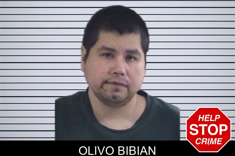 Olivo Bibian mugshot