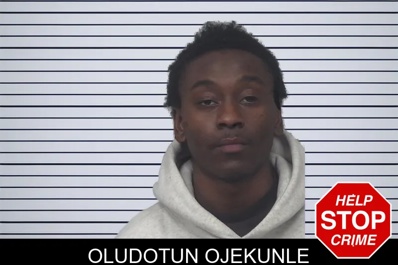 Oludotun Ojekunle mugshot