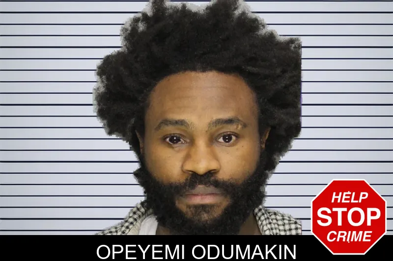 Opeyemi Odumakin mugshot