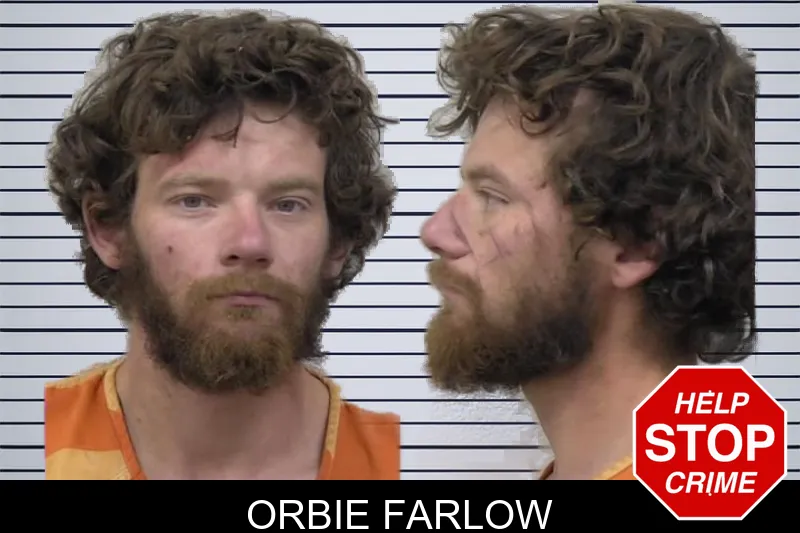 Orbie Farlow mugshot – Paulding County , Georgia Orbie Farlow mugshot