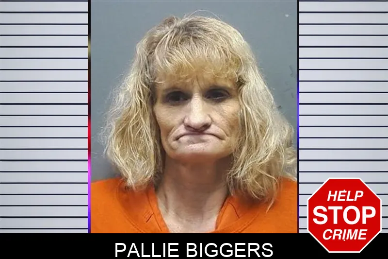 Pallie Biggers mugshot – Cherokee County , Georgia Pallie Biggers mugshot