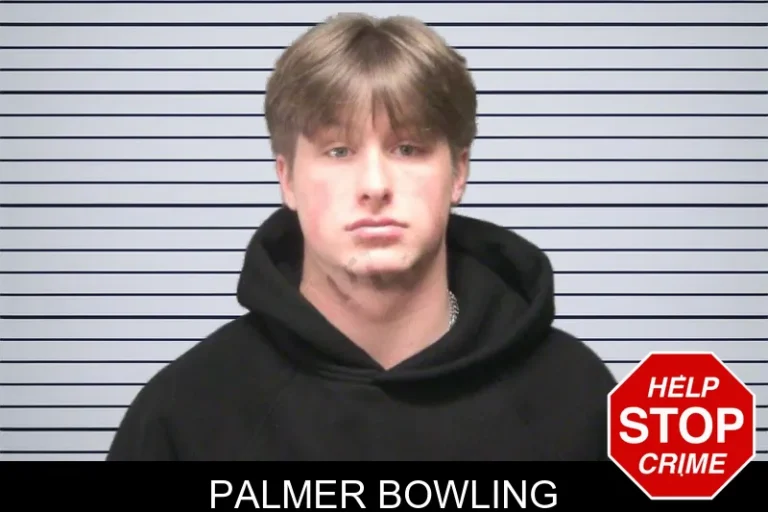 Palmer Bowling