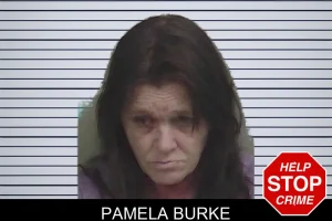 Pamela Burke mugshot