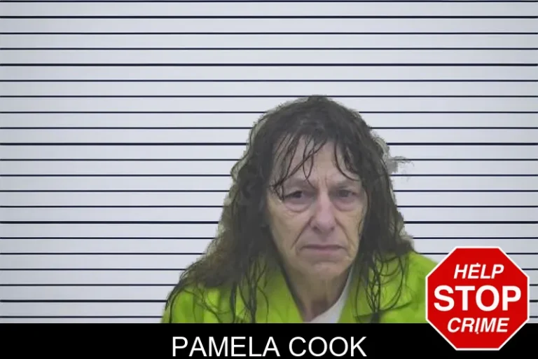 Pamela Cook mugshot – Coffee County , Georgia Pamela Cook