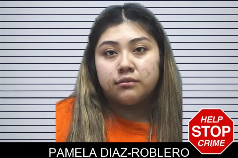 Pamela Diaz-Roblero