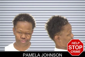 Pamela Johnson mugshot