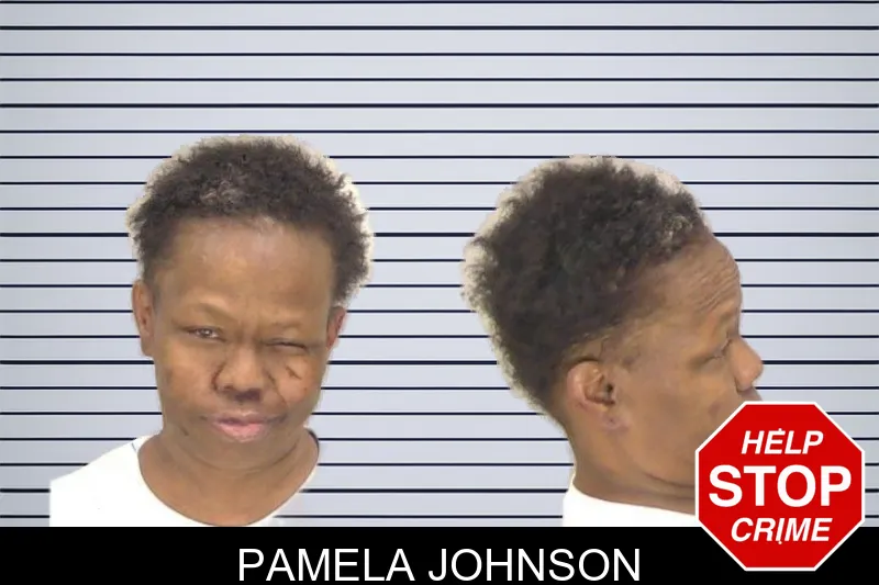 Pamela Johnson mugshot