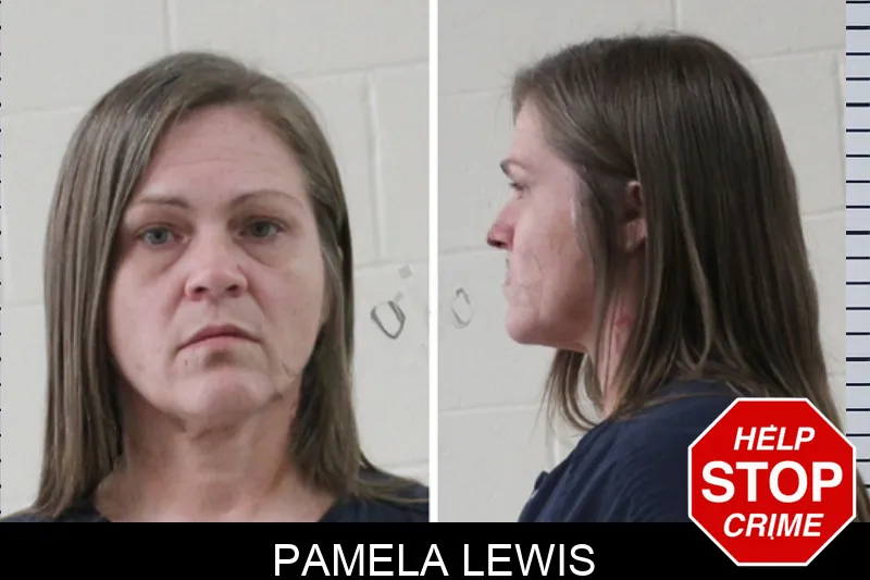 Pamela Lewis mugshot