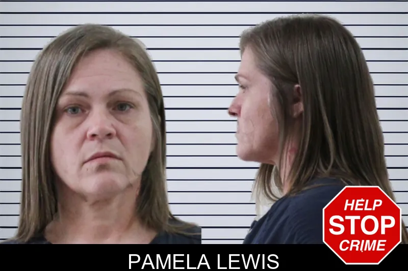Pamela Lewis mugshot