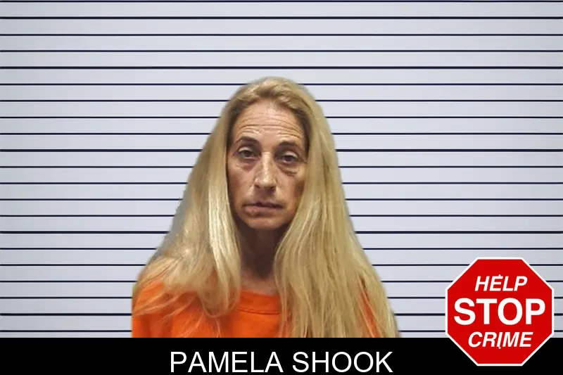 Pamela Shook mugshot