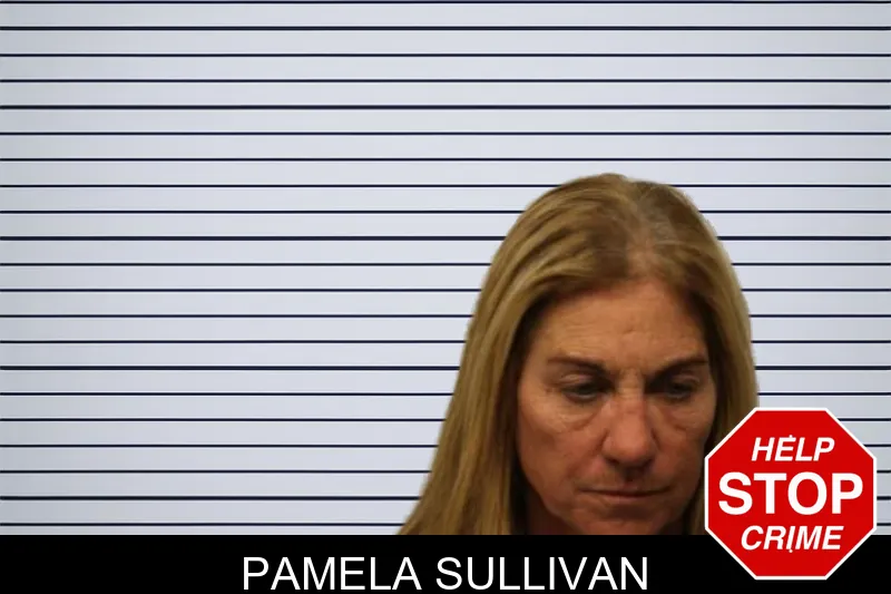 Pamela Sullivan mugshot – Chatham County , Georgia Pamela Sullivan mugshot