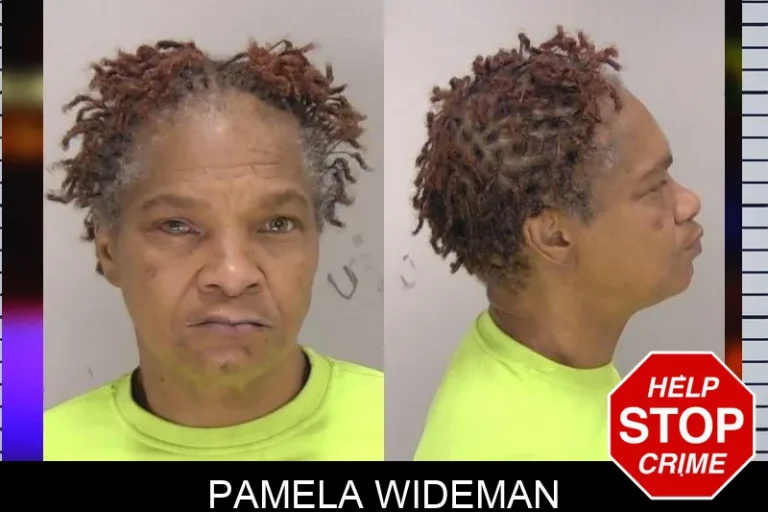 Pamela Wideman mugshot – Bulloch County , Georgia Pamela Wideman