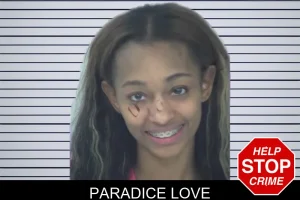 Paradice Love mugshot