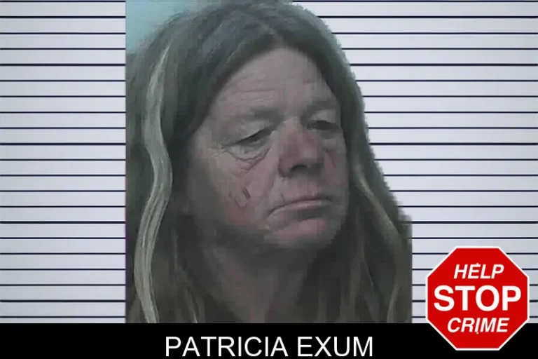 Patricia Exum mugshot – Lanier County , Georgia Patricia Exum