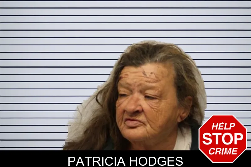 Patricia Hodges mugshot