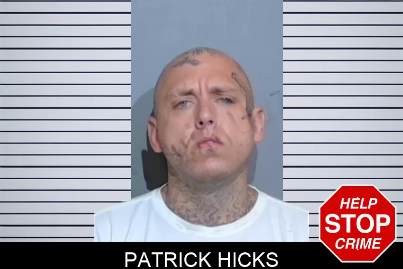 Patrick Hicks mugshot
