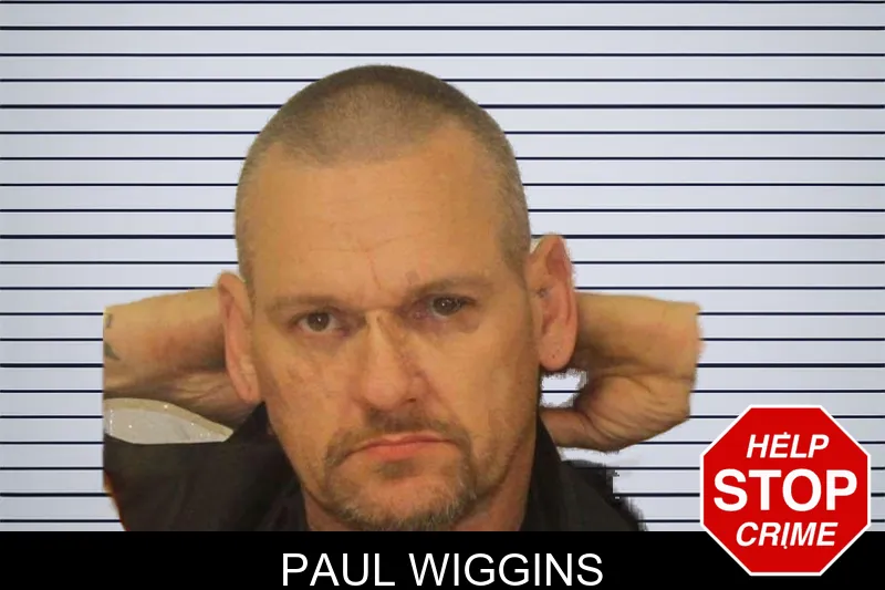 Paul Wiggins mugshot