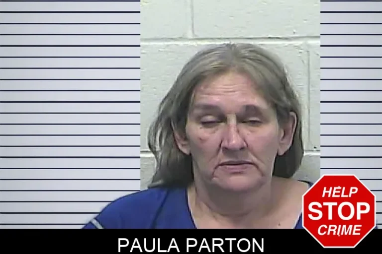 Paula Parton
