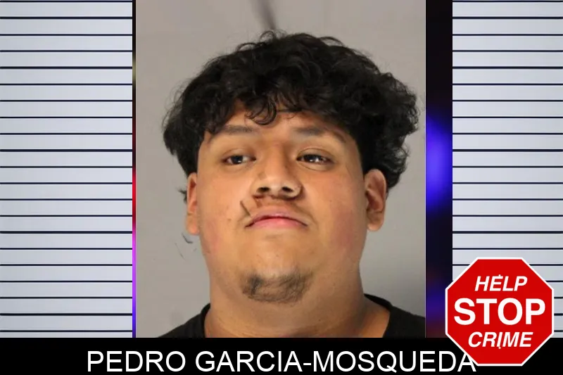 Pedro Garcia-Mosqueda mugshot