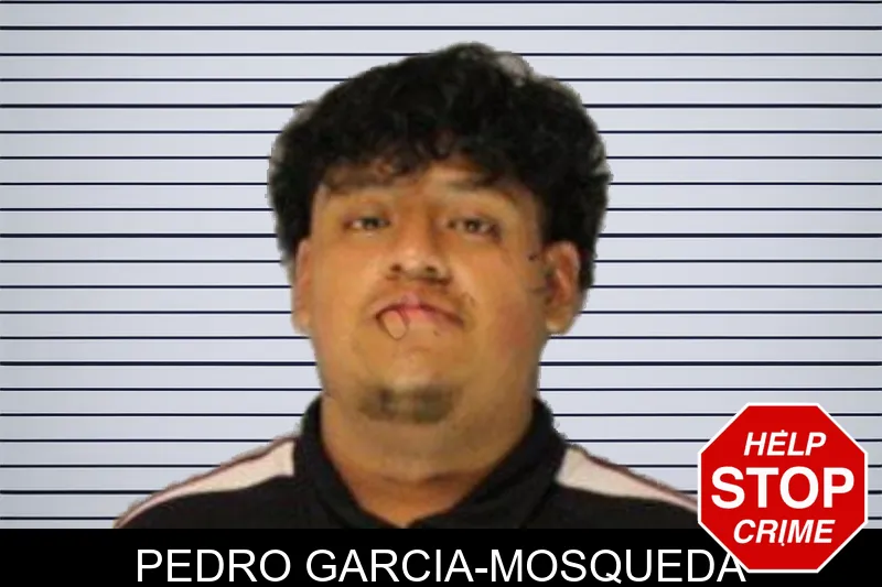 Pedro Garcia-Mosqueda mugshot
