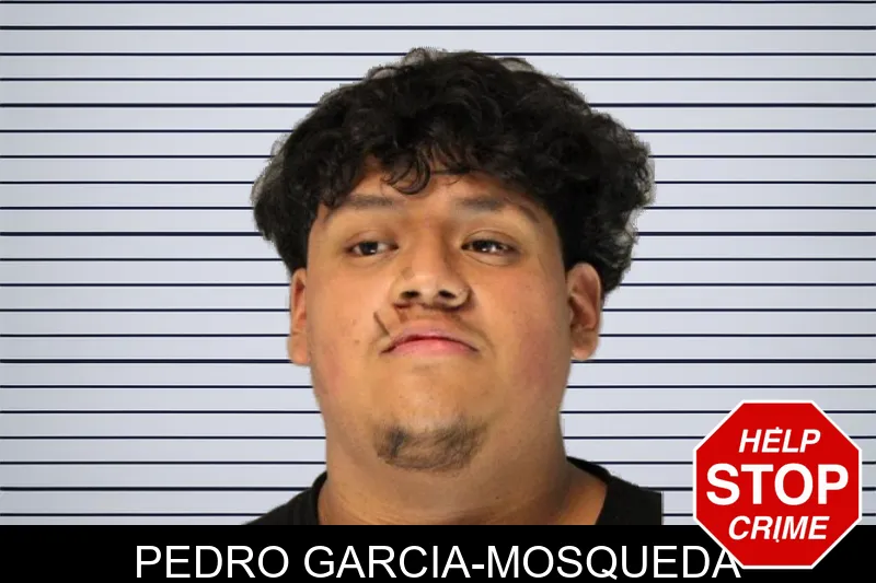 Pedro Garcia-Mosqueda mugshot