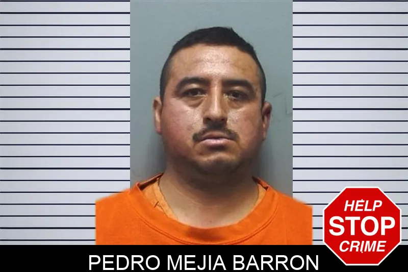 Pedro Mejia Barron mugshot