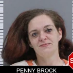 Penny Brock mugshot – Rabun County , Georgia Penny Brock mugshot