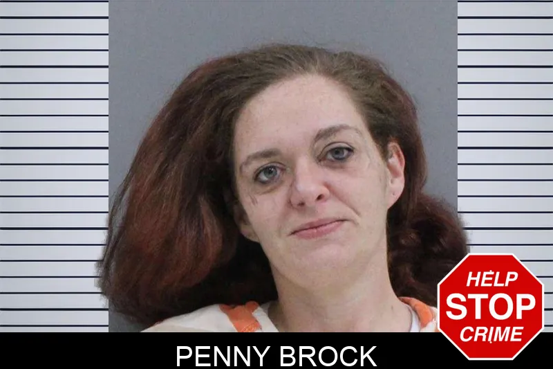 Penny Brock mugshot – Rabun County , Georgia Penny Brock mugshot