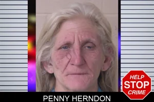 Penny Herndon mugshot