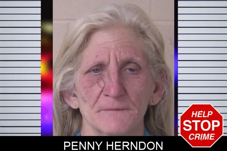 Penny Herndon