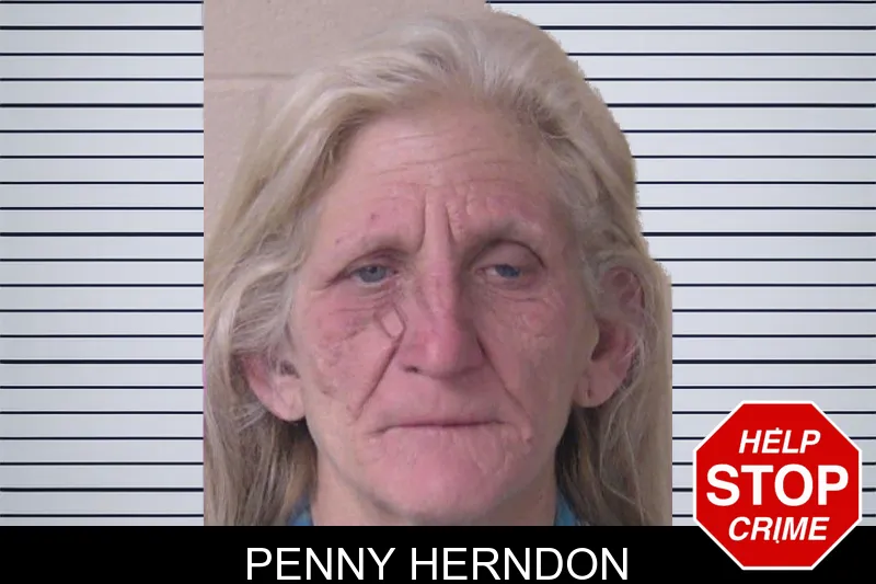 Penny Herndon mugshot