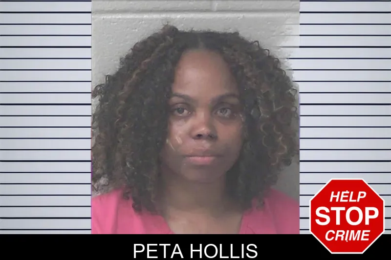 Peta Hollis mugshot – Newton County , Georgia Peta Hollis mugshot