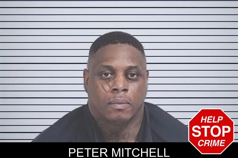 Peter Mitchell mugshot