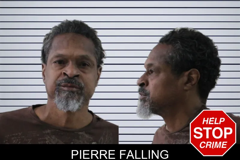 Pierre Falling mugshot – Houston County , Georgia Pierre Falling mugshot