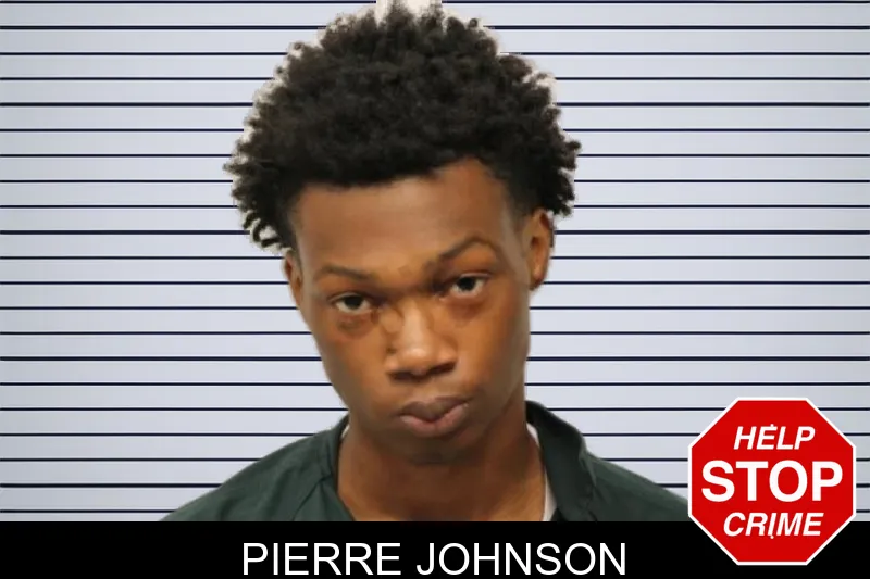 Pierre Johnson mugshot – Chatham County , Georgia Pierre Johnson mugshot