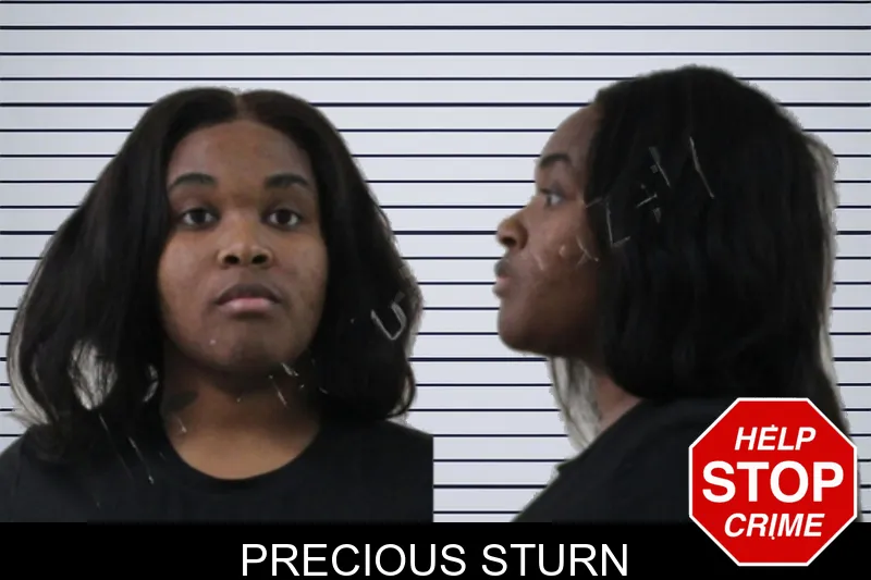 Precious Sturn mugshot – Houston County , Georgia Precious Sturn mugshot