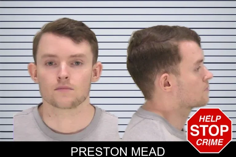 Preston Mead