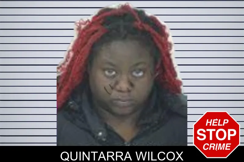 Quintarra Wilcox mugshot