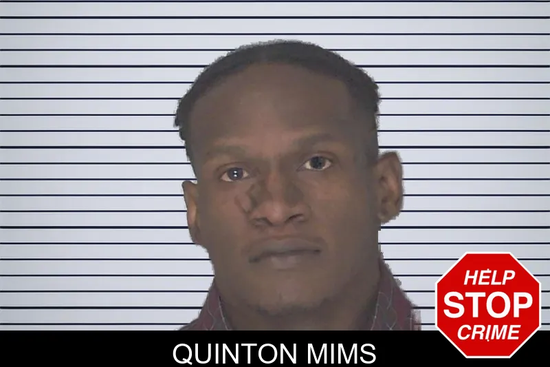 Quinton Mims mugshot