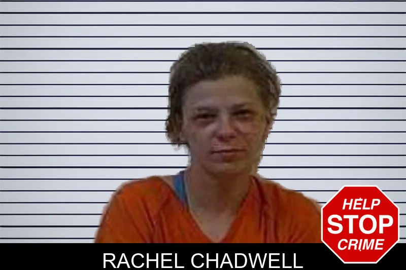 Rachel Chadwell mugshot – Polk County , Georgia Rachel Chadwell mugshot