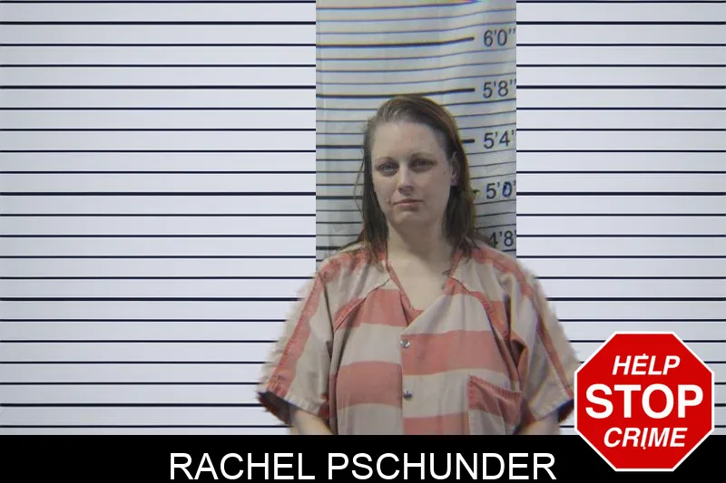 Rachel Pschunder mugshot – Stephens County , Georgia Rachel Pschunder mugshot