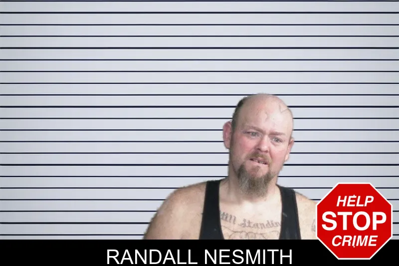 Randall Nesmith mugshot – Twiggs County , Georgia Randall Nesmith mugshot
