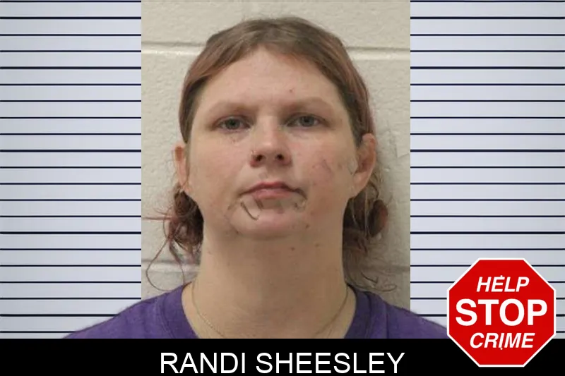 Randi Sheesley mugshot