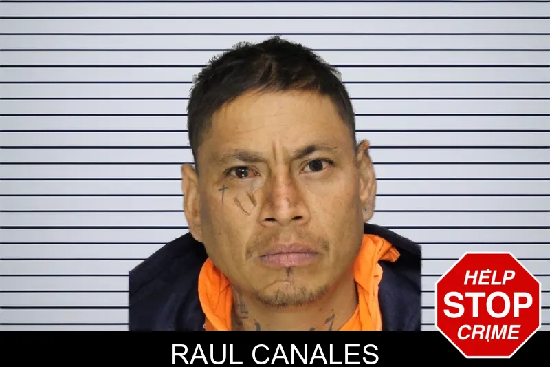 Raul Canales mugshot