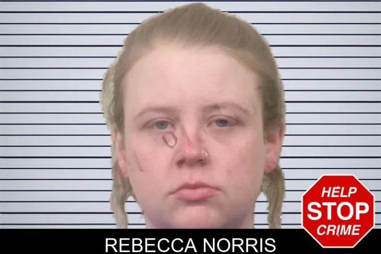 Rebecca Norris mugshot – Bulloch County , Georgia Rebecca Norris